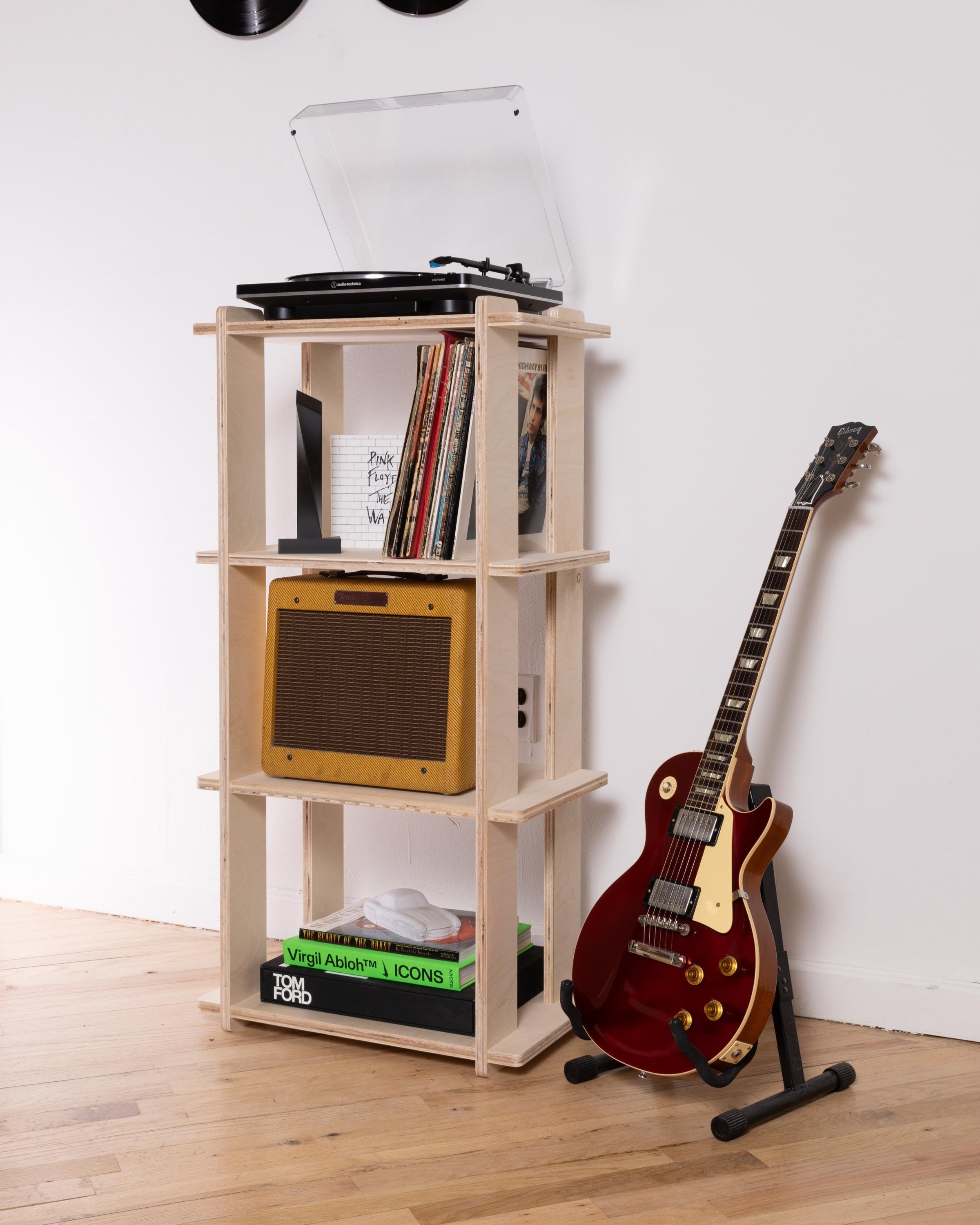 Mid Century Modern Vinyl Record Display Shelves Bookshelf Minimal Scandinavian No Tools Assembly Narrow