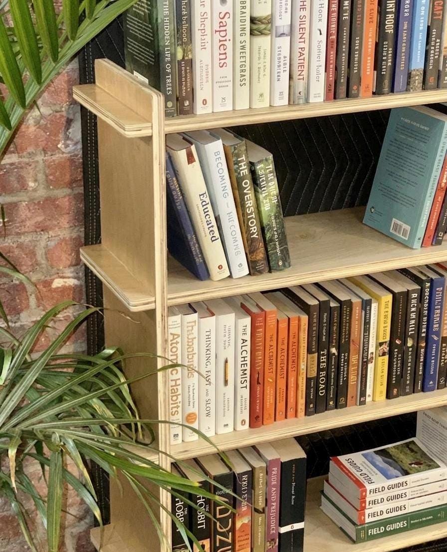 Modern Wide Birch Bookshelf | Tool-Free Assembly Open Shelf | Flat Pack Bookcase | Minimalist Apartment Storage