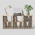 Mid Century Modern Vinyl Record Storage | 2-Tier LP Media Console